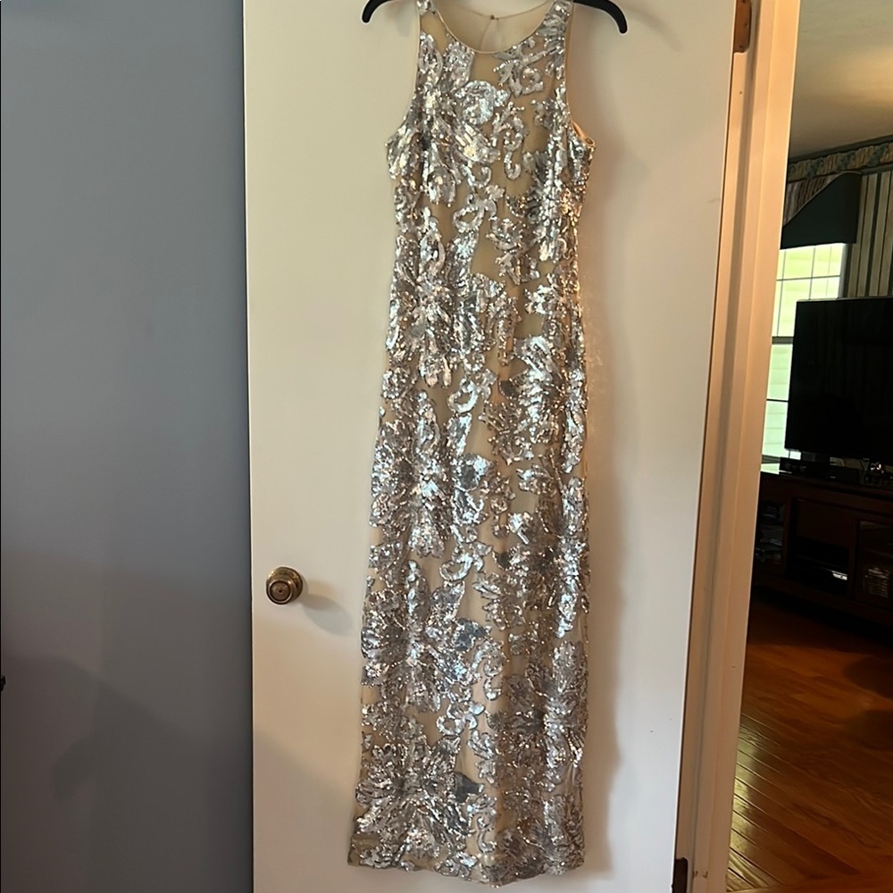 Belle Badgley Mishu’s Glamorous Silver Sequin Gown — Size 6